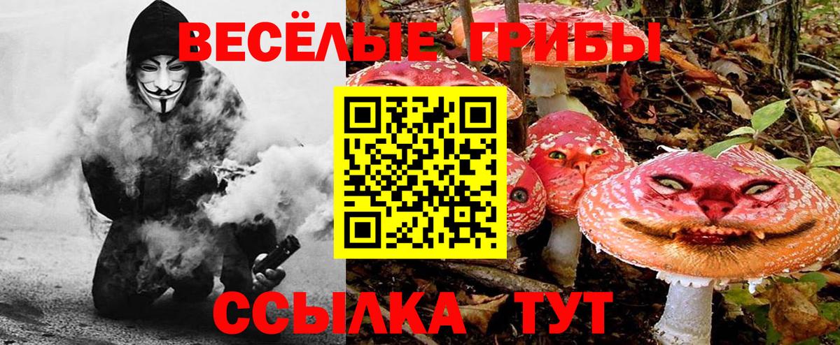 Тамбов  Псилоцибиновые грибы мицелий  Вход с VPN 
